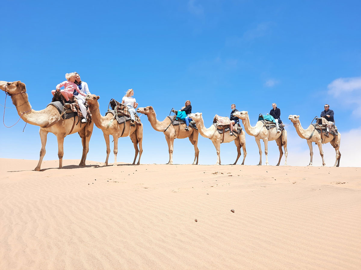 camel riding namibia
